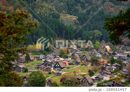 白川郷の紅葉 世界遺産 岐阜県 白川郷の紅葉 世界遺産 岐阜県 109581457