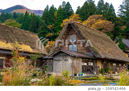 白川郷の紅葉　世界遺産　 岐阜県 109581466
