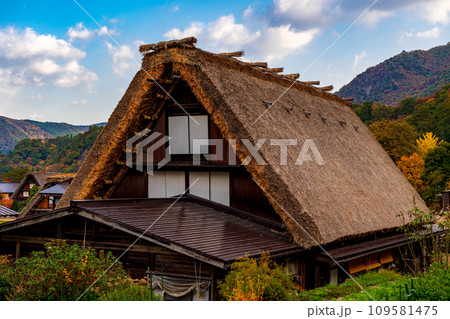 白川郷の紅葉　世界遺産　 岐阜県 109581475