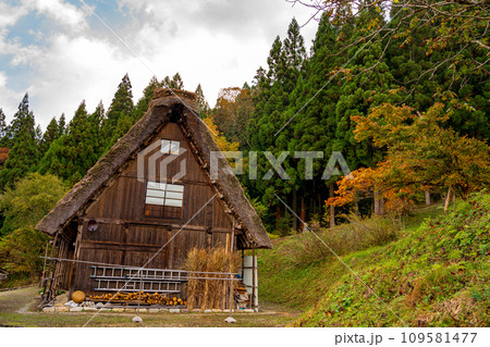 白川郷の紅葉 世界遺産 岐阜県 白川郷の紅葉 世界遺産 岐阜県 109581477