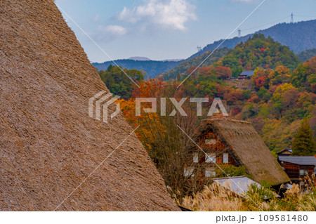 白川郷の紅葉　世界遺産　 岐阜県 109581480