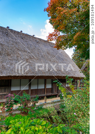 白川郷の紅葉　世界遺産　 岐阜県 109581494