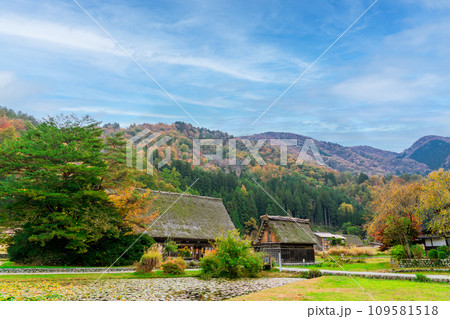 白川郷の紅葉　世界遺産　 岐阜県 109581518