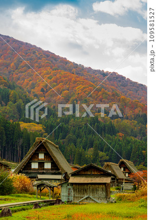 白川郷の紅葉 世界遺産 岐阜県 白川郷の紅葉 世界遺産 岐阜県 109581527
