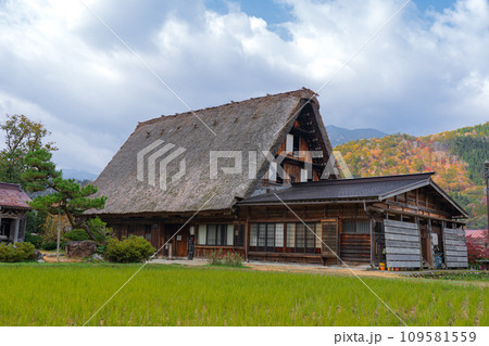 白川郷の紅葉　世界遺産　 岐阜県 109581559