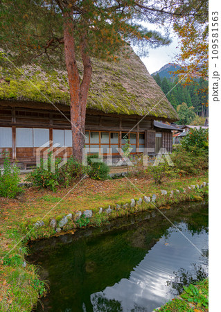 白川郷の紅葉　世界遺産　 岐阜県 109581563