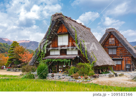白川郷の紅葉　世界遺産　 岐阜県 109581566