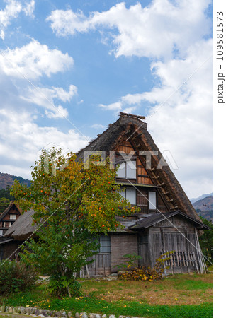 白川郷の紅葉　世界遺産　 岐阜県 109581573