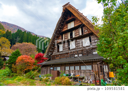 白川郷の紅葉 世界遺産 岐阜県 白川郷の紅葉 世界遺産 岐阜県 109581581
