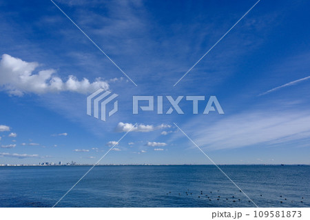 新浦安から望む東京湾 109581873