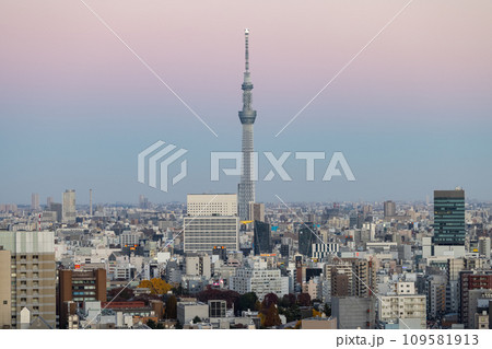 展望台から見たスカイツリーの夕景 展望台から見たスカイツリーの夕景 109581913