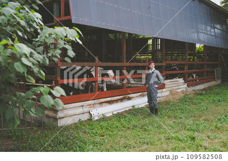 ranch ranch 109582508