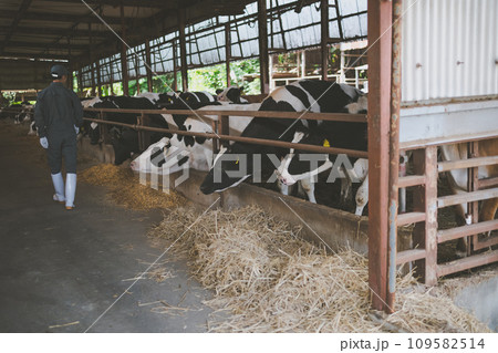 ranch 109582514