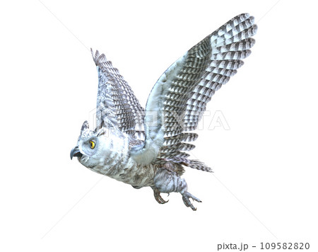 ミミズク　絵画　イラスト　ドローイング ミミズクs by タケダヒロキ(Hiroki Takeda) | TRiCERA ART