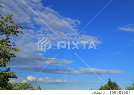 青い空と白い雲 109583604