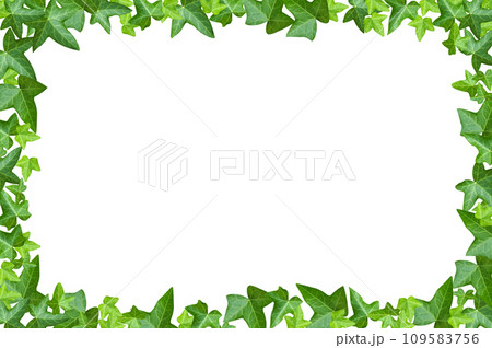ツタの葉が生い茂るフレーム 109583756
