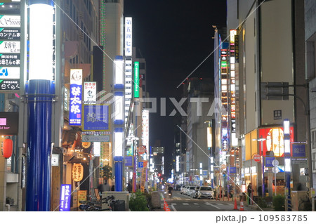 なごやの繁華街(伊勢町通 愛知県 名古屋市 中区 錦) なごやの繁華街(伊勢町通 愛知県 名古屋市 中区 錦) 109583785