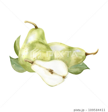 Watercolor hand drawn green pears and half pear food illustrations. Summer fruits with green leaves arrangements for kitchen, plate, label, logo design. Clip art for invitation, card, wedding design 109584411