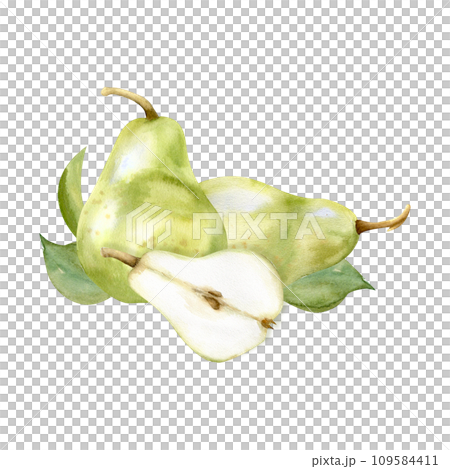 Watercolor hand drawn green pears and half pear food illustrations. Summer fruits with green leaves arrangements for kitchen, plate, label, logo design. Clip art for invitation, card, wedding design 109584411