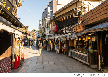 《東京都》柴又帝釈天参道・昭和レトロな街並みの夕暮れ 109584854