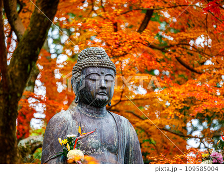 京都、栄摂院の阿弥陀さん 109585004
