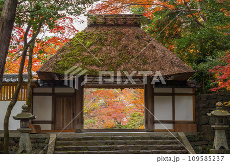 秋の京都　紅葉に包まれた法然院の山門 109585237