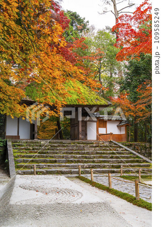 秋の京都　紅葉に包まれた法然院 109585249