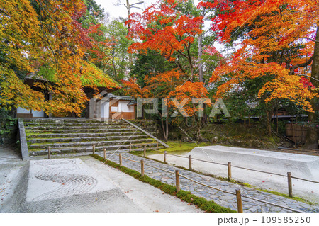 秋の京都 紅葉に包まれた法然院 秋の京都 紅葉に包まれた法然院 109585250