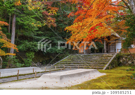 秋の京都　紅葉に包まれた法然院 109585251