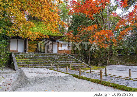 秋の京都　紅葉に包まれた法然院 109585258