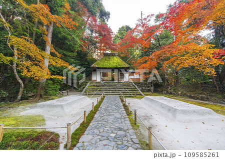 秋の京都 紅葉に包まれた法然院 秋の京都 紅葉に包まれた法然院 109585261
