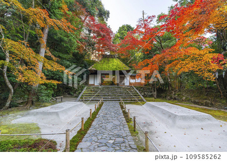 秋の京都　紅葉に包まれた法然院 109585262