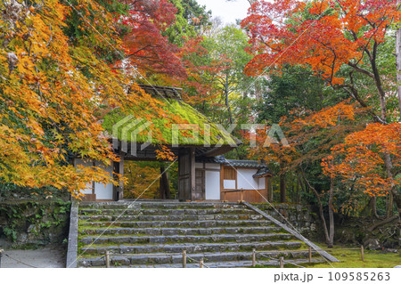 秋の京都 紅葉に包まれた法然院 秋の京都 紅葉に包まれた法然院 109585263