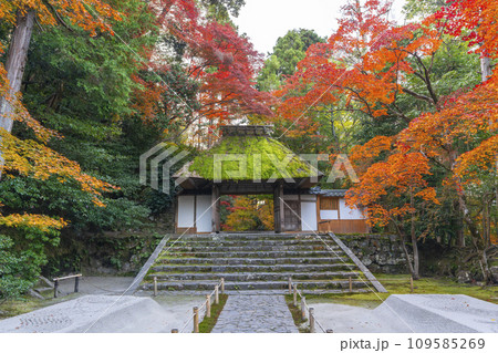 秋の京都 紅葉に包まれた法然院 秋の京都 紅葉に包まれた法然院 109585269