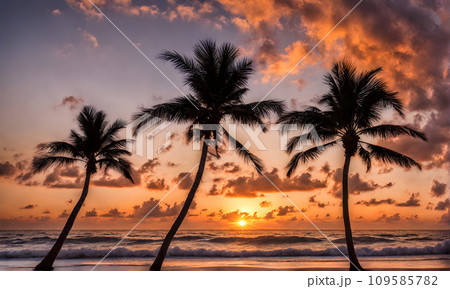 Serene sea sunset 109585782