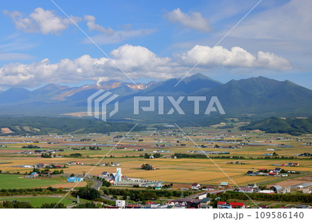 北海道空知郡中富良野町 なかふらの北星山ラベンダー園を見下ろす展望台からの富良野盆地と十勝岳連峰 北海道空知郡中富良野町 なかふらの北星山ラベンダー園を見下ろす展望台からの富良野盆地と十勝岳連峰 109586140