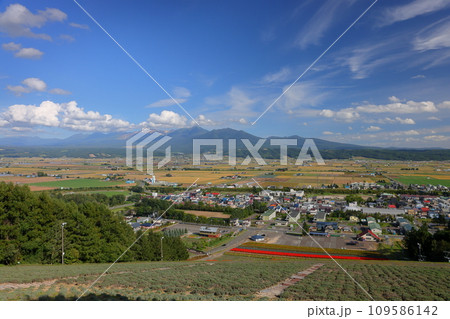 北海道空知郡中富良野町　なかふらの北星山ラベンダー園を見下ろす展望台からの富良野盆地と十勝岳連峰 109586142