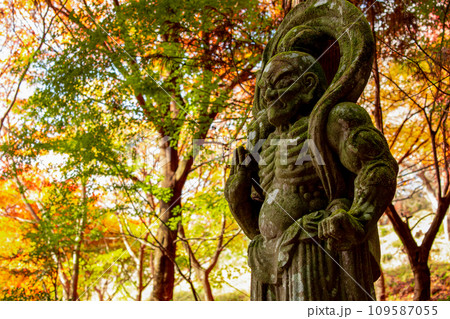 両子寺仁王像と紅葉 109587055