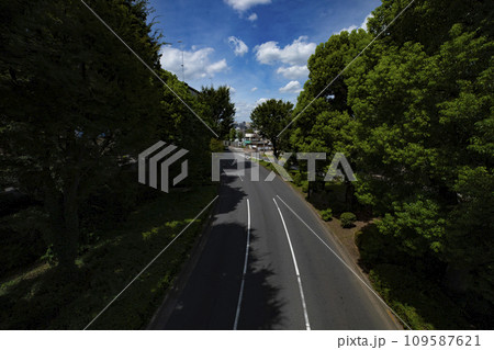 無人の蓮根歩道橋周辺の三叉路交差点 無人の蓮根歩道橋周辺の三叉路交差点 109587621