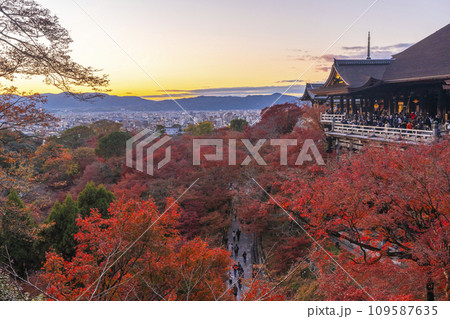 秋の京都　夕暮れの清水寺　清水の舞台と紅葉 109587635