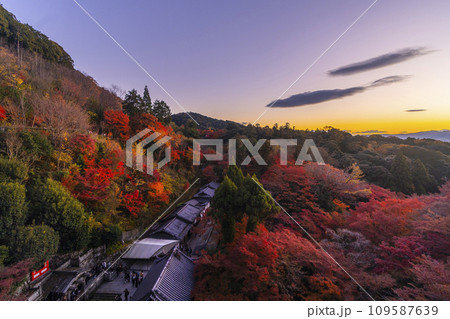 秋の京都 夕暮れの清水寺 音羽の瀧と紅葉 秋の京都 夕暮れの清水寺 音羽の瀧と紅葉 109587639