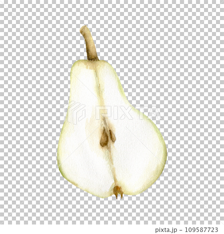 Watercolor hand drawn green pear.Fresh summer fruit piece with stones. Food illustration for product, label, logo design. Clip art 109587723