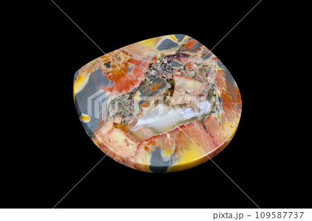 バタフライ・ジャスパー 自然が描く模様 バタフライ・ジャスパー 自然が描く模様 109587737