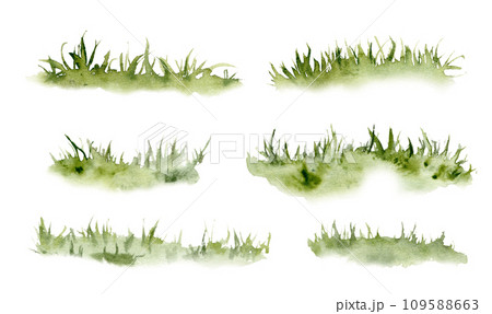 Set of watercolor grass. Hand drawn light green withered herb pattern in the sun. Sketch abstract burnt spring fresh grass kit. Illustration on isolated white background 109588663
