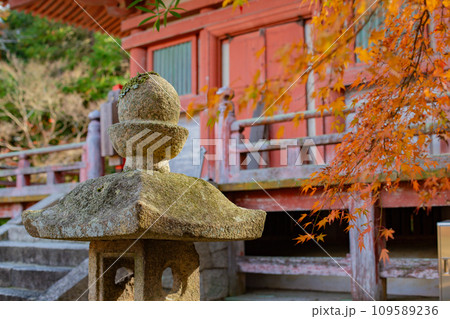 秋の神戸・太山寺・三重塔と石灯籠と紅葉 109589236