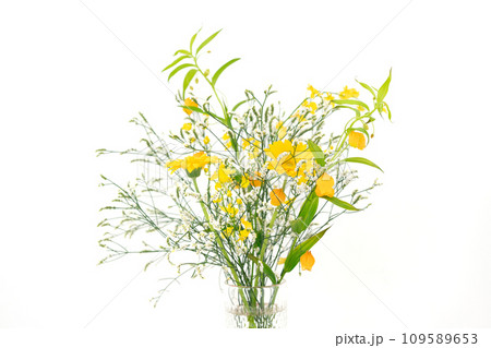 花 植物 フラワーアレンジメント 花 植物 フラワーアレンジメント 109589653