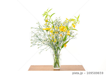 花 植物 フラワーアレンジメント 花 植物 フラワーアレンジメント 109589659