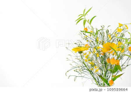 花　植物　フラワーアレンジメント 109589664