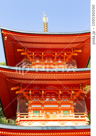秋の神戸・須磨寺・三重塔と紅葉 109590090