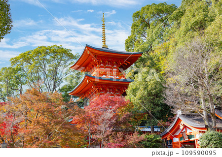 秋の神戸・須磨寺・三重塔と紅葉 109590095
